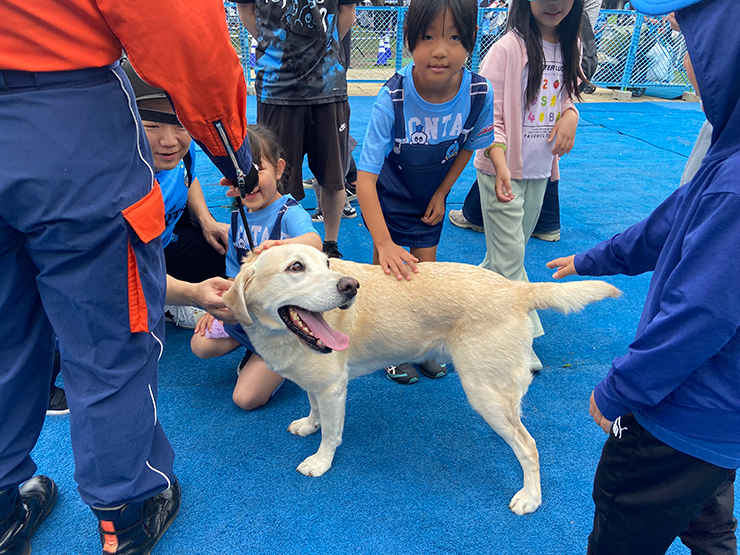 たぬちゃん #19 オーダーページ Oha4 準備中】 まもなく今日の放送もスタート！ 今週は日テレ系カラダ
