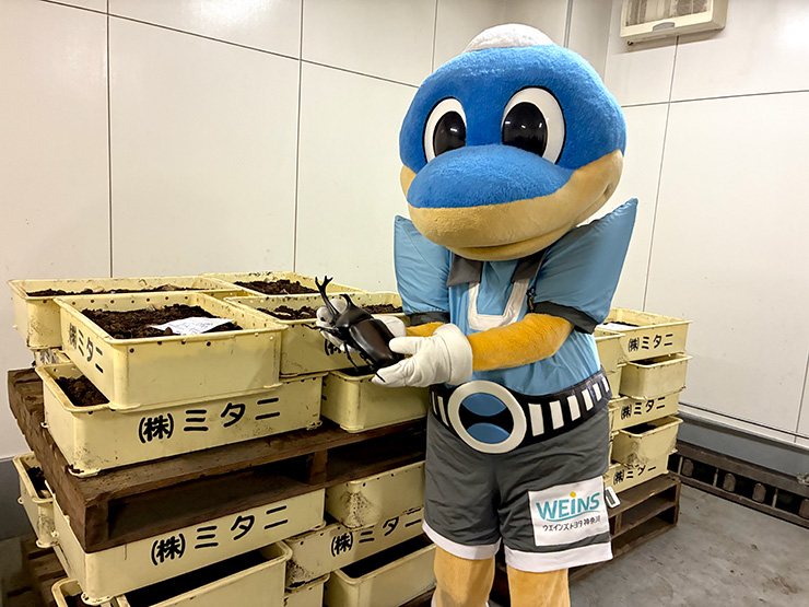 フロンターレ日記 / 年に一度のカブの祭典「カブの日」開催!! 