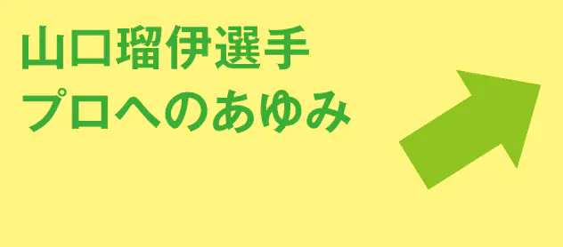山口瑠伊選手プロへのあゆみ