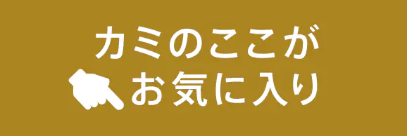 ここがお気に入り