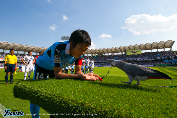 ヨウムのオリビアちゃんによる、花束贈呈！