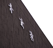 川崎フロンターレ青玄寮